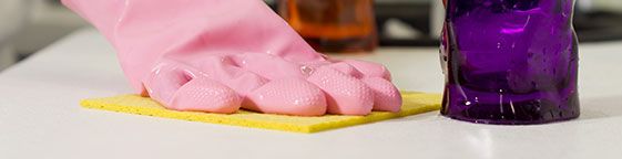 Waterloo Carpet Cleaners Domestic cleaning Waterloo Carpet Cleaners Domestic cleaning