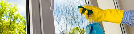 Waterloo Carpet Cleaners Regular cleaning Waterloo Carpet Cleaners Regular cleaning